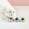 Catnip Wall Toys, Teeth Cleaning and Biting Balls for Cat/Kitten, Edible Licking Chew Toy, Rotatable Indoor Cat Toy (Green,1 Pcs)