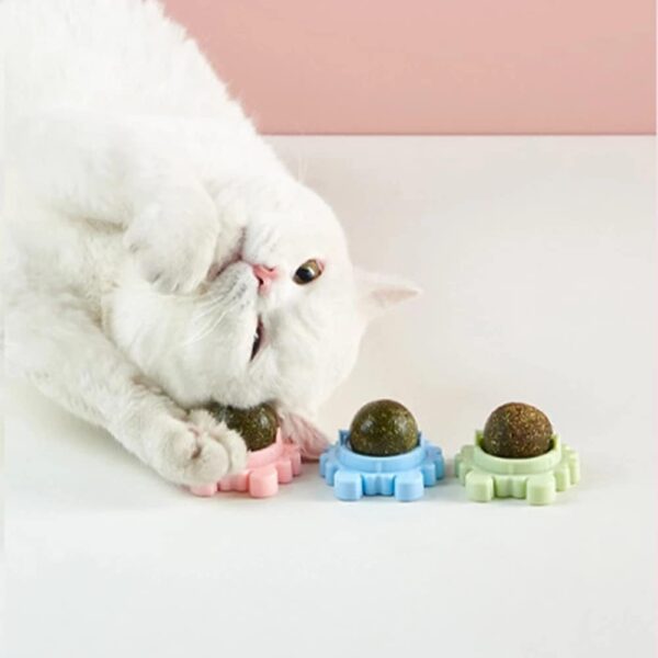 Catnip Wall Toys, Teeth Cleaning and Biting Balls for Cat/Kitten, Edible Licking Chew Toy, Rotatable Indoor Cat Toy (Green,1 Pcs)