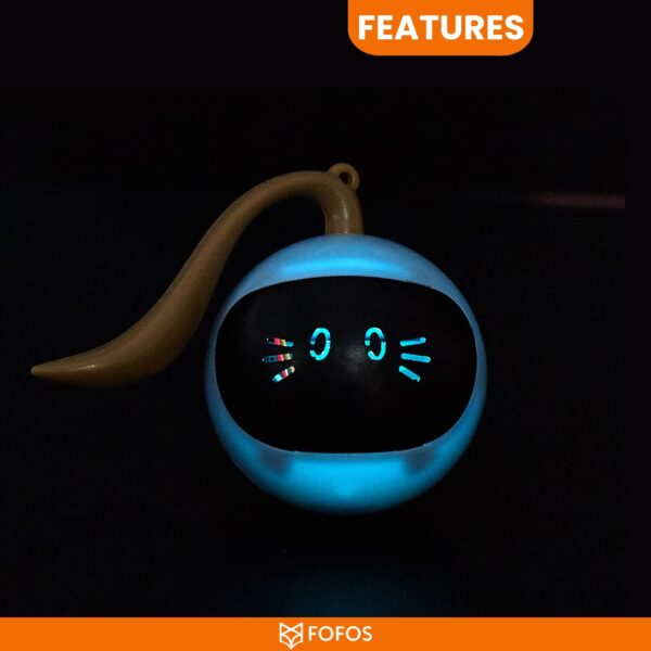 BarkButler X FOFOS Whirli Cat Toy - Interactive Cat Toys, Toys for Kitten and Adult Cats