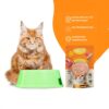 PETS EMPIRE Moochie Tasty Wet Cat Food (85 g X 6 Pouches) Mousse with Salmon, Grain Free Cats Gravy Meal, No Artificial Flavours Kitten Food, Non-Vegetarian Cat Foods Pouch for Kittens