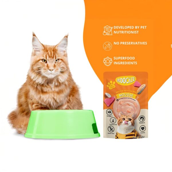 PETS EMPIRE Moochie Tasty Wet Cat Food (85 g X 6 Pouches) Mousse with Salmon, Grain Free Cats Gravy Meal, No Artificial Flavours Kitten Food, Non-Vegetarian Cat Foods Pouch for Kittens