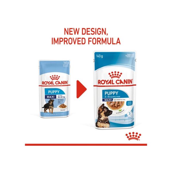 51-2LYxriwL._SL1000_.jpg Royal Canin Maxi Puppy Food for Stage 3, 104 Grams, Pack of 10 Sachet, Wet Food, Supports Immune System & digestive health, Provides Long growth, moderate energy