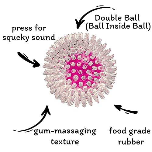 RvPaws RV Paws Large Size Spike Ball - Squeaky Dog Toy With Inner Ball - Suitable For Large & Medium Breeds - 1 Pack