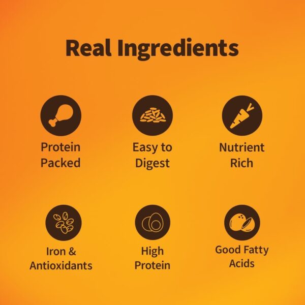 510MjYb6y9L._SL1080_.jpg Wet Dog Food 300 gm | Balanced Meals with Chicken, Pumpkin, Rice & Vegetables | High Protein Dog Food | No Added Flavours | Human-Grade Ingredients | All Life Stages