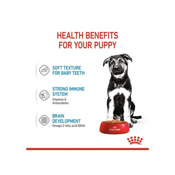 510aIhb8G3L._SL1000_.jpg Royal Canin Maxi Puppy Food for Stage 3, 104 Grams, Pack of 10 Sachet, Wet Food, Supports Immune System & digestive health, Provides Long growth, moderate energy