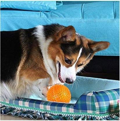 PSK PET MART Dog Ball TPR Material Chew Orange Ball Rubber Ball for Dog (Large Size) (Colour May)