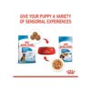 5128gxVlrOL._SL1000_.jpg Royal Canin Maxi Puppy Food for Stage 3, 104 Grams, Pack of 10 Sachet, Wet Food, Supports Immune System & digestive health, Provides Long growth, moderate energy