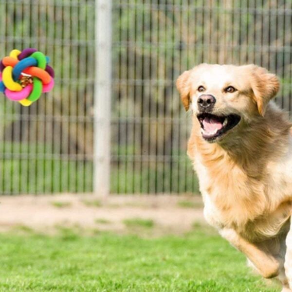 5156VoviBeL.jpg Dog Trust Ball Chew Teether Toys for Dog, Puppy, Cat, Kitten -Combo of 3