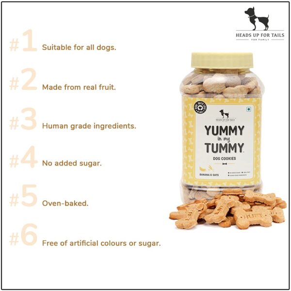 HUFT Heads Up For Tails Yummy In My Tummy Banana & Oats Vegetarian Dog Biscuits 320 Gram, For Babys