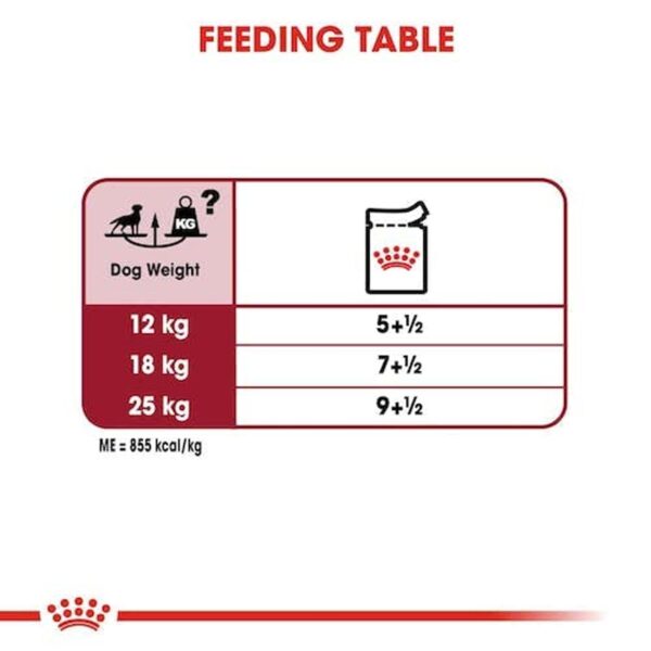 51DAlhciiSL._SL1500_.jpg Royal Canin Medium Adult Dog Food, Pack of 10 Sachet, Wet Food, Supports Weight Management & Digestive Health, Promotes overall development
