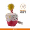 Barkbutler x Fofos Birthday Cake Cat Toy - US Grade Organic Catnip, Multicoloured Textured Toys, Cat Accessories with Super Soft Fabrics & a Pom-Pom - Perfect as Kitten Toys