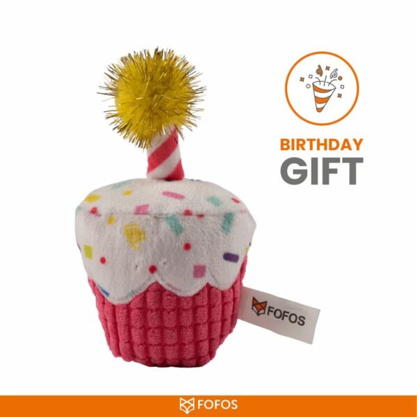 Barkbutler x Fofos Birthday Cake Cat Toy - US Grade Organic Catnip, Multicoloured Textured Toys, Cat Accessories with Super Soft Fabrics & a Pom-Pom - Perfect as Kitten Toys