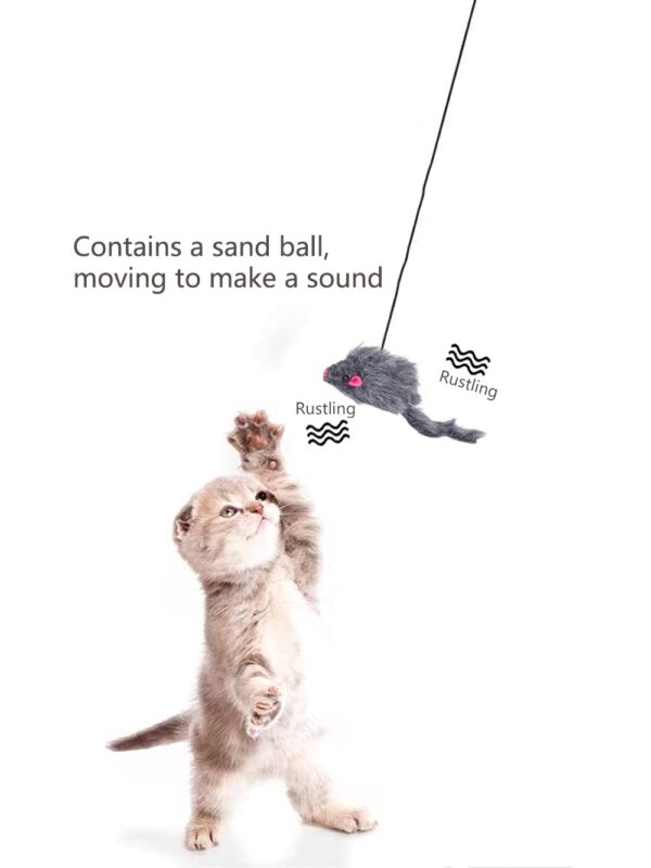 51En7I0M3BL._SL1333_.jpg Qpets® Cat Teaser Toys, Cat Feather Toys, Hanging Cat Toys for Indoor Cats Interactive Elastic Rope, Cat Toys for Persian Cat Soft Toy with Plushed Mice Pendent