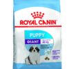Royal Canin Giant Puppy Food, 1 Kg, Dry Food, Supports Immune System, Bone & Joint Health, Promotes Growth controlled Energy