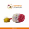 Barkbutler x Fofos Birthday Cake Cat Toy - US Grade Organic Catnip, Multicoloured Textured Toys, Cat Accessories with Super Soft Fabrics & a Pom-Pom - Perfect as Kitten Toys