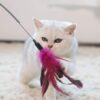 51HSD6bJ8OL._SL1001_.jpg The Pets Company Cat Spring Treaser, Feather Dangler Wand, Interactive Stick Toy for Cats & Kittens