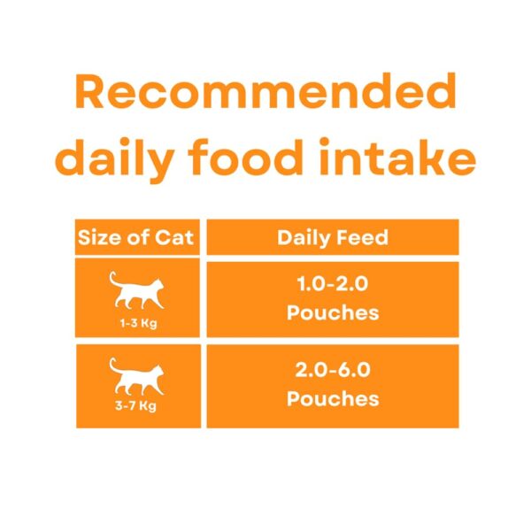PETS EMPIRE Moochie Tasty Wet Cat Food (85 g X 6 Pouches) Mousse with Salmon, Grain Free Cats Gravy Meal, No Artificial Flavours Kitten Food, Non-Vegetarian Cat Foods Pouch for Kittens