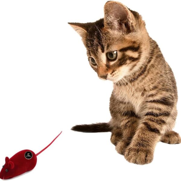 PSK PET MART Fun Plush Cat Rats, Cats Hunting Mouse Toys, Bite Proof Cat Squeek Toy, Interactive Mice Plush Squeaky, Soft Mouse Toys for Cats, Kittens - 3Pcs (Pack of 1) (Color May Vary)