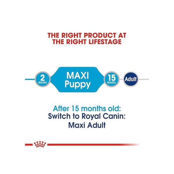 51NWIUcYB5L._SL1000_.jpg Royal Canin Maxi Puppy Food for Stage 3, 104 Grams, Pack of 10 Sachet, Wet Food, Supports Immune System & digestive health, Provides Long growth, moderate energy