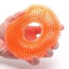 51X5ckv7uvL.jpg Dog Trust Durable Natural Rubber Hard Spiked Ring Shape Chew Toy Ideal for Teeth Cleaning and Chewing Dogs & Puppies (Multicolor) for Aggressive Chewer