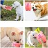 51YPqE4Gq7L.jpg PETS EMPIRE Pet Chew Rubber Squeaky Pig, Latex Squeaky Toys, Pet Chew Piggy, Flexible Piggy Sound Dog Toys, Funny Dogs Chewy Toy, Interactive Teething Toy for Dogs, Pups, Puppies - Pack of 2