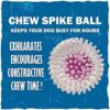 RvPaws RV Paws Large Size Spike Ball - Squeaky Dog Toy With Inner Ball - Suitable For Large & Medium Breeds - 1 Pack