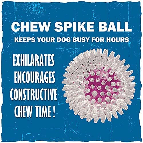 RvPaws RV Paws Large Size Spike Ball - Squeaky Dog Toy With Inner Ball - Suitable For Large & Medium Breeds - 1 Pack