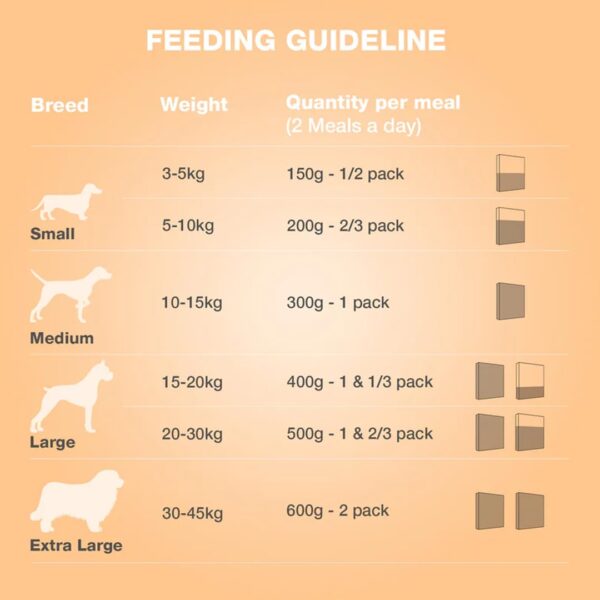 51adWyxxfzL._SL1080_.jpg Benny's Bowl Fresh & Wet Dog Food - Chicken & Pumpkin - 5 Packs x 100 G | Grain Free,All Life Stages