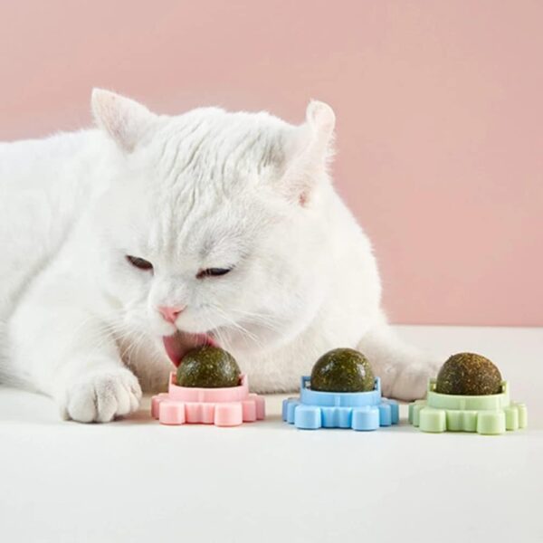 Catnip Wall Toys, Teeth Cleaning and Biting Balls for Cat/Kitten, Edible Licking Chew Toy, Rotatable Indoor Cat Toy (Green,1 Pcs)