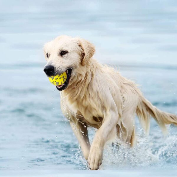 Qpets® 3 Inch Durable Bouncy Ball for Small, Medium, Big Dogs - High Elasticity TPU Dog Toy, Lightweight, Interactive, High Bounce - Molar Chew for Power Chewers