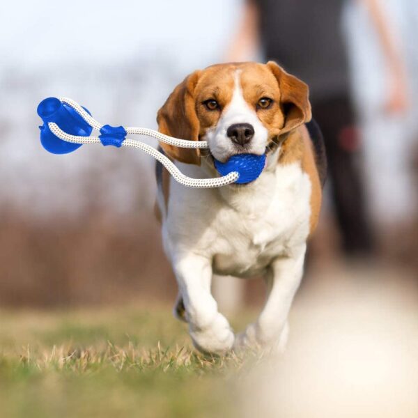 PETS EMPIRE Multifunctional Dog Chew Toy with Double Suction Cup | Interactive Tug Toy for Aggressive Chewers, Puppy Toothbrush & Teeth Cleaning Molar Bite Stick