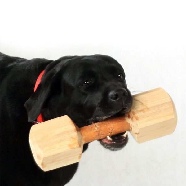 51jzWyakOQL.jpg RvPaws Wooden Dumbbell Chew Toy, 100% Natural Wood Training Toy for Dogs and Puppies - Keeps Teeth and Gums Healthy Oral Care
