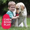 PSK PET MART Kong Classic Interactive Dog Toy (X-Large) (Pack of 1 Pcs)