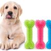 Dog Trust Non-Toxic Rubber Dog Chew Bone Toy, Puppy/Dog Teething Dog Trust Non-Toxic Rubber Dog Chew Bone Toy, Puppy/Dog Teething Toy (Medium) - 6 Inch