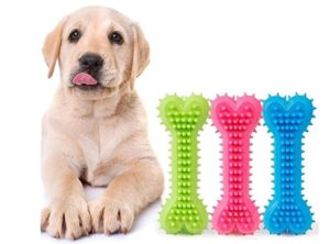 Dog Trust Non-Toxic Rubber Dog Chew Bone Toy, Puppy/Dog Teething Dog Trust Non-Toxic Rubber Dog Chew Bone Toy, Puppy/Dog Teething Toy (Medium) - 6 Inch