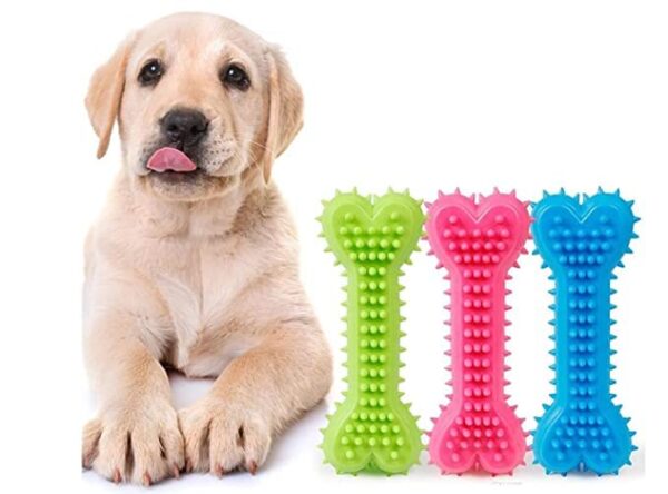 Dog Trust Non-Toxic Rubber Dog Chew Bone Toy, Puppy/Dog Teething Dog Trust Non-Toxic Rubber Dog Chew Bone Toy, Puppy/Dog Teething Toy (Medium) - 6 Inch