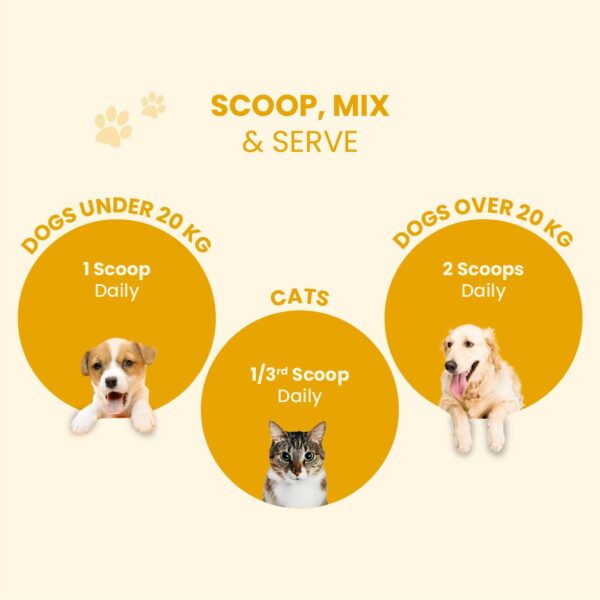 51otwEzSTgL._SL1201_.jpg FUR BALL STORY Wag Boost Pet Food Topper 100g | Taste Enhancer & Nutrition for Dogs & Cats | Supports Immunity, Joint & Skin Health | Vet Recommended