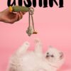 GISHIKI Catnip Infused Zucchini Cat Toy – Handstitched Natural Linen with Premium Catnip & Squeaker | Lightweight for Batting, Tossing & Carrying | Interactive Hunting Play Enrichment – 28 cm