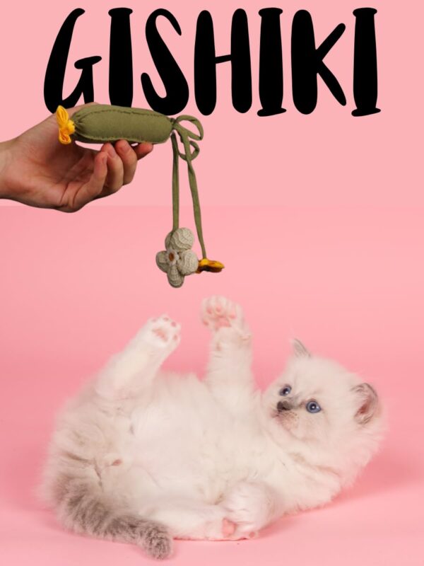 GISHIKI Catnip Infused Zucchini Cat Toy – Handstitched Natural Linen with Premium Catnip & Squeaker | Lightweight for Batting, Tossing & Carrying | Interactive Hunting Play Enrichment – 28 cm
