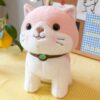 SCOOBA Super Soft Random Color Adorable cat Stuffed Toy Pack of 1 25cm Will be Send