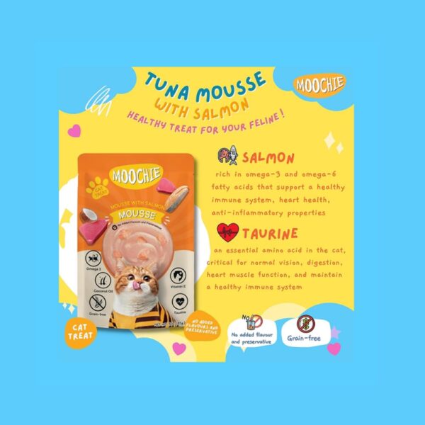 PETS EMPIRE Moochie Tasty Wet Cat Food (85 g X 6 Pouches) Mousse with Salmon, Grain Free Cats Gravy Meal, No Artificial Flavours Kitten Food, Non-Vegetarian Cat Foods Pouch for Kittens