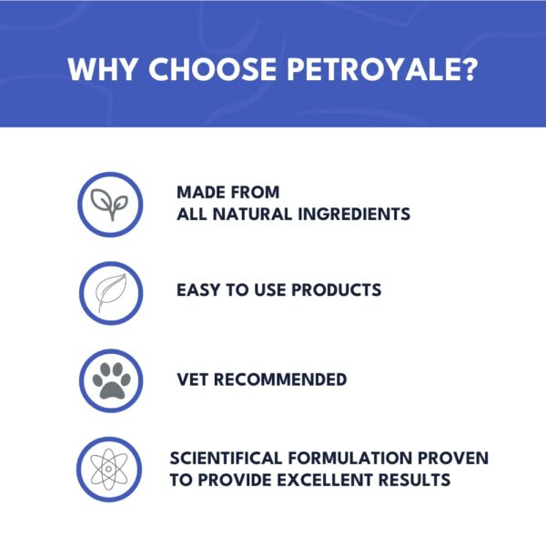 Petroyale Cat Digestive Probiotics - Cat Prebiotics & Probiotics Supplement - Prevents Diarrhea & Improves Gut Health - Cat Health Supplement for Digestion - 100 gm