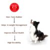 51uCqYKP1TS._SL1280_.jpg Foodie Puppies Natural Rubber Flavored Hole Ball - 2.35inch/ 6cm | Suitable for Small to Medium Dogs and Puppies | Chewing, Teething, and Training Ball Toy