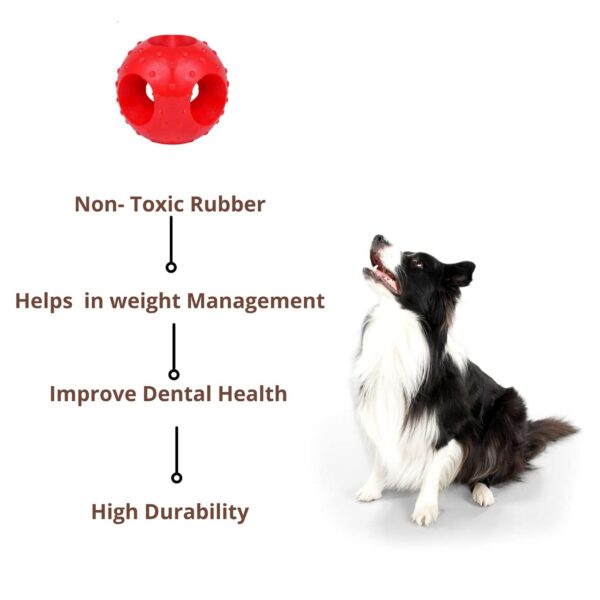 51uCqYKP1TS._SL1280_.jpg Foodie Puppies Natural Rubber Flavored Hole Ball - 2.35inch/ 6cm | Suitable for Small to Medium Dogs and Puppies | Chewing, Teething, and Training Ball Toy