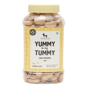 HUFT Heads Up For Tails Yummy In My Tummy Banana HUFT Heads Up For Tails Yummy In My Tummy Banana & Oats Vegetarian Dog Biscuits 320 Gram, For Babys