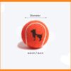 Heads Up For Tails Quintessential Tennis Dog Ball - Set of 2