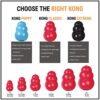 PSK PET MART Kong Classic Interactive Dog Toy (X-Large) (Pack of 1 Pcs)