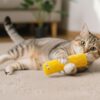 51xRVhtzNML._SL1184_.jpg Cat Kicker Plush Toy Set for Cats & Kittens | Soft, Colorful & Lightweight Toys with Catnip fillable Pocket | Non-Squeaky, Fun Indoor Play | Pack of 3 (Colors May Vary)