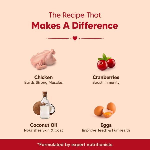 Hearty by Heads Up for Tails - Chicken & Cranberries Dog Biscuits for Adult Dogs & Puppies | Chicken Biscuits, Protein-Rich & Gluten-Free | No Artificial Preservatives | 320 gm