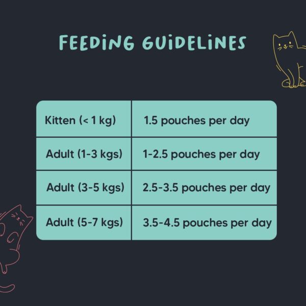Meowsi by HUFT Tuna & Shrimp Pate Wet Cat Food - 80 gm | Pack of 6 | Delicious & Creamy Food for Persian & All Breeds | Rich in Omega-3, Essential Nutrients & Hydration for Optimal Health